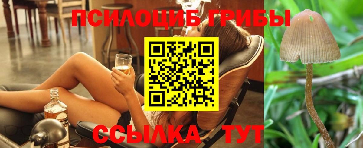 Искитим  Псилоцибиновые грибы ЛСД  купить   Вход с VPN 